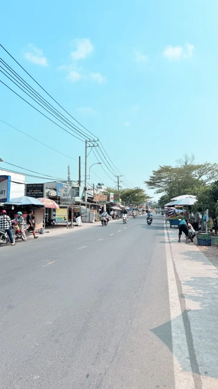 47264, Thanh Niên, Bình Chánh