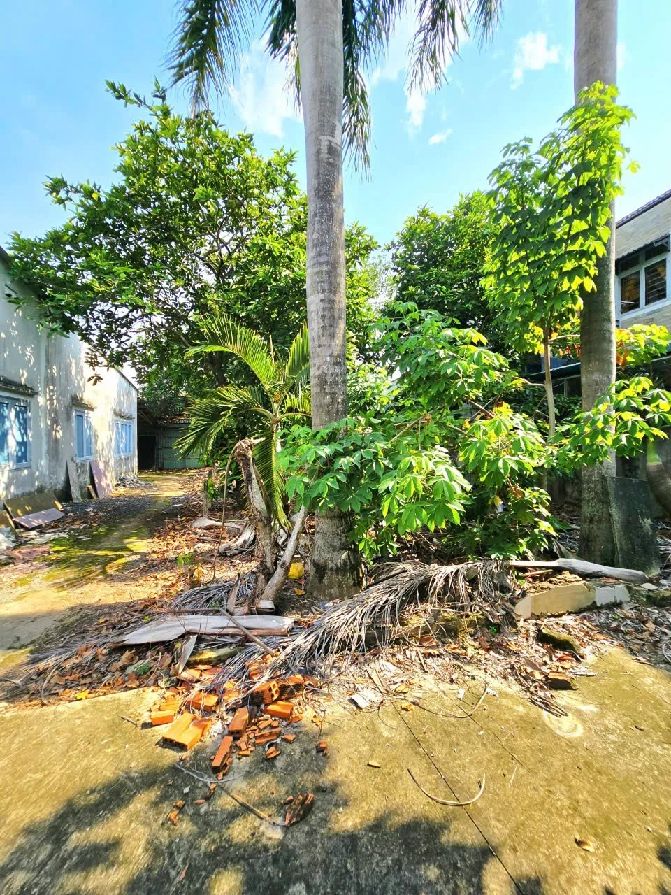 48527, Đường 7, Thủ Đức