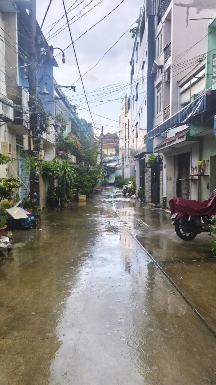 48650, 80.9C3 Tân Hòa Đông, (TL) Tân Hòa Đông Phường 14, Quận 6