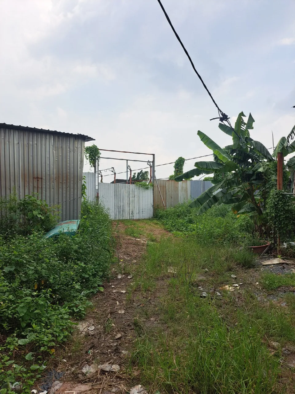 48545, Kế E7.35 Ấp 19 Trần Đại Nghĩa, Bình Chánh