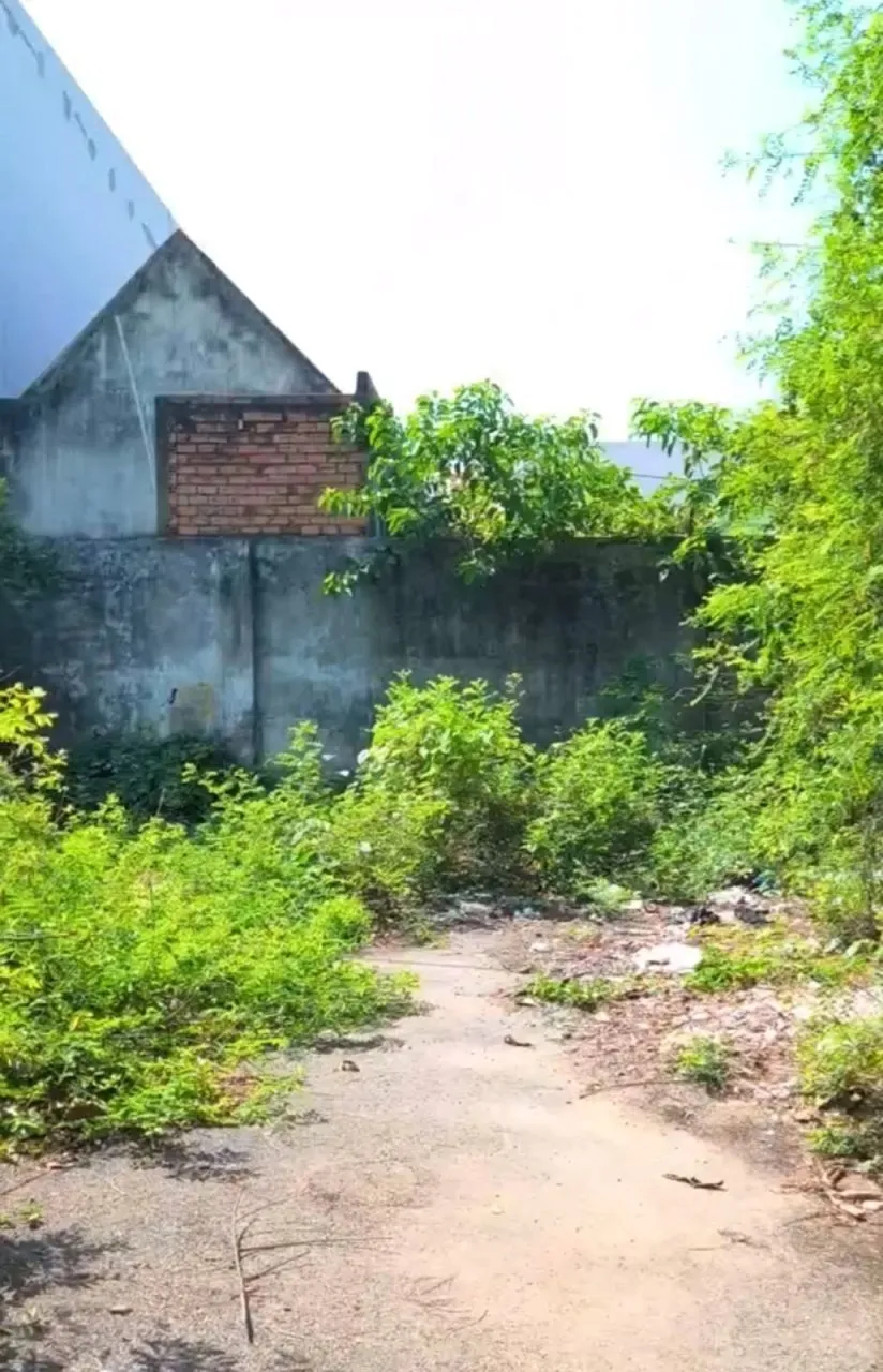 14466, MĐ HXH, Long Trường Thủ Đức