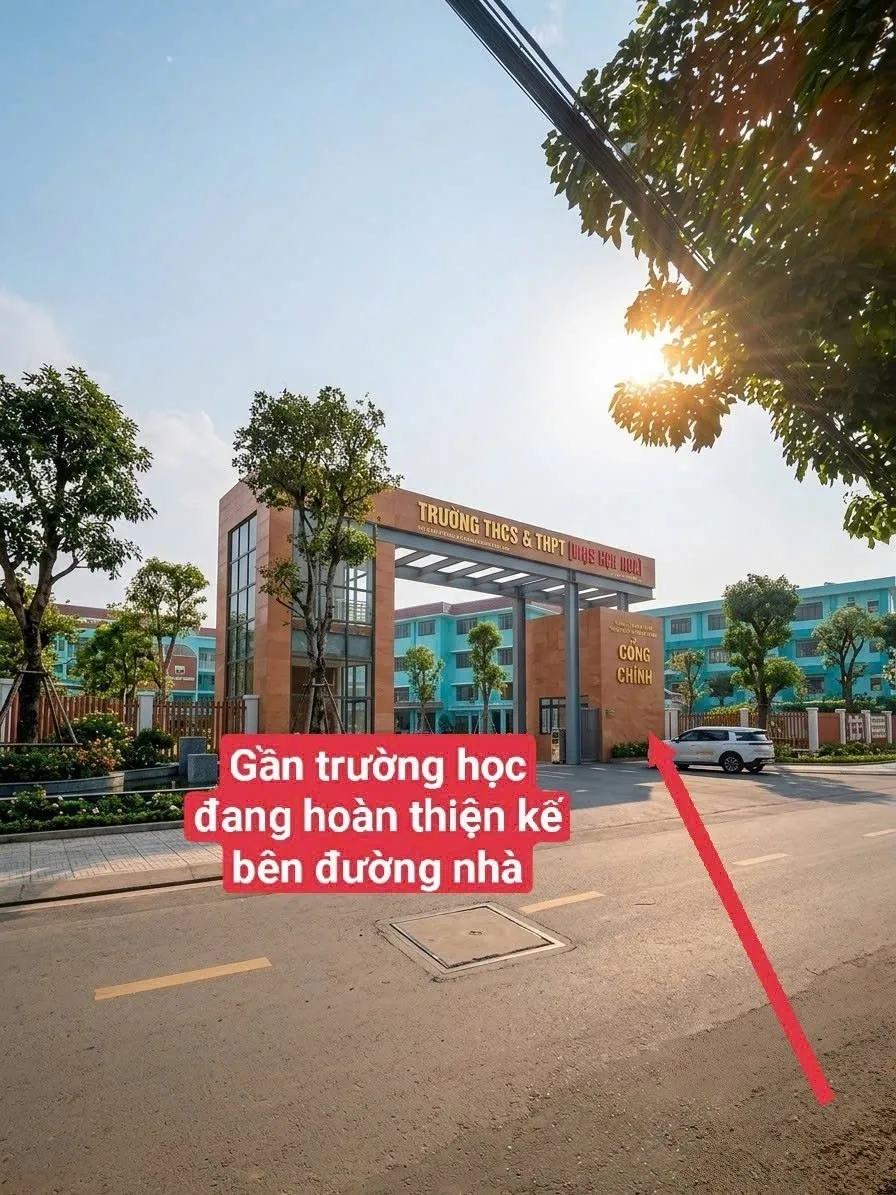 48556, miếu gò xoài, Bình Tân